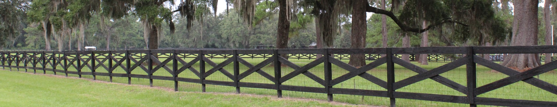 Fence beside road